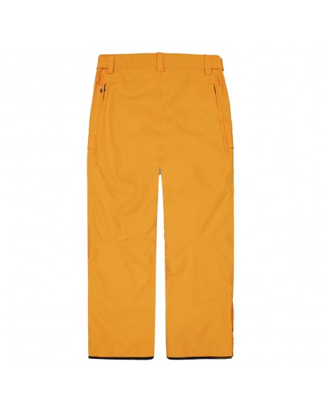Pantalon de Ski Picture Plan Pants Carrot Pantalons de ski homme