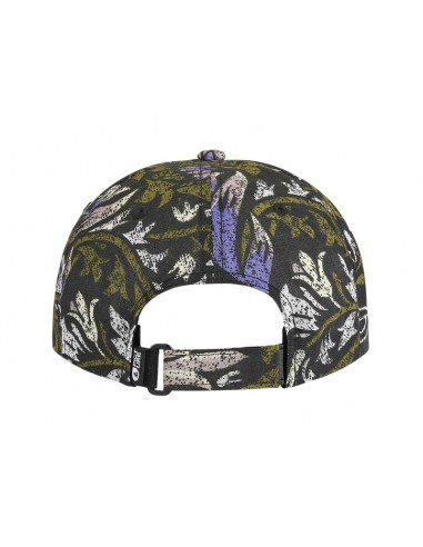 Casquette Picture Baogi Wealth Print