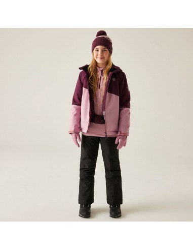 Veste de ski Dare 2B Snowbasher Fig /...