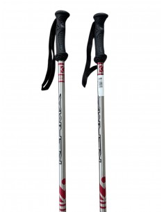 batons de ski telescopique 2