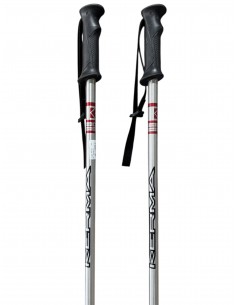batons de ski  telescopiques 2