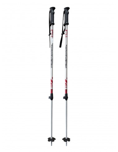 batons de ski  telescopiques