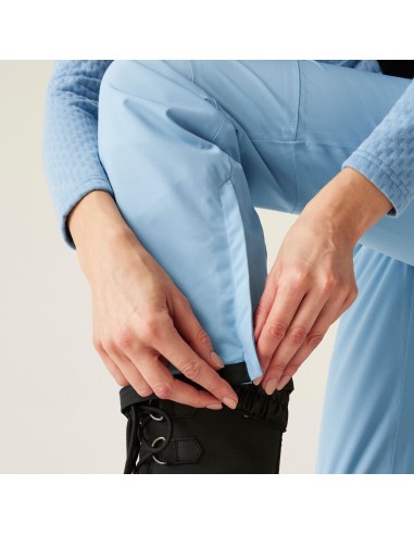 Pantalon de ski Femme Dare 2B...