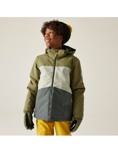 Veste de ski Dare 2B Sendit Martini...