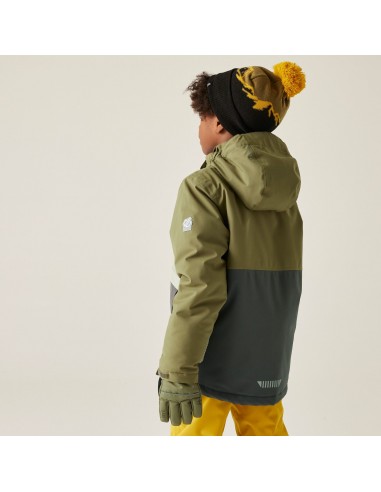 Veste de ski Dare 2B Sendit Martini...