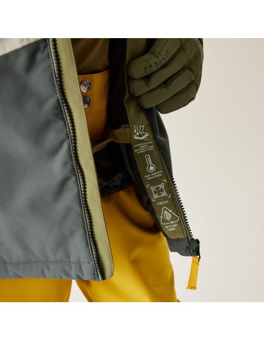 Veste de ski Dare 2B Sendit Martini...