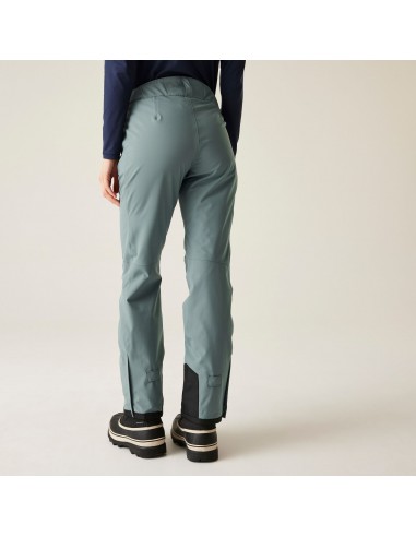 Pantalon de ski Femme Dare 2B...