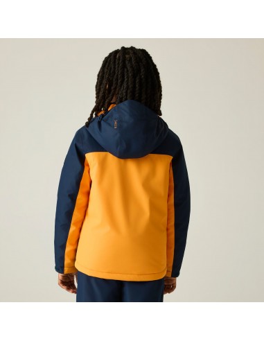 Veste de Ski Fille Dare 2B Piste...