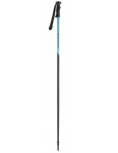 batons de ski bleu turquoise