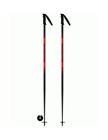 Freeride Pro Bâton Ski Homme ROSSIGNOL NOIR pas cher - Bâtons de