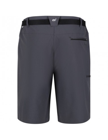 Short de Randonnée Regatta XTR III grey