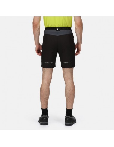 Short de Randonnée Homme Regatta Mountain Short II Black