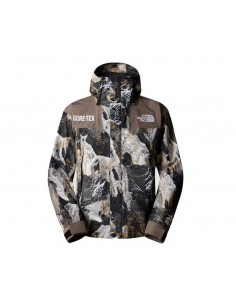 Veste Homme The North Face Gore-Tex Mountain Multicolore Outdoor