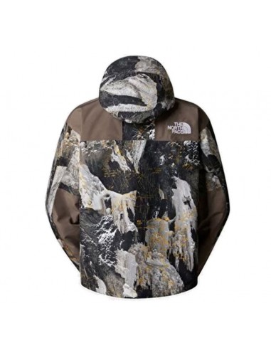 Veste Homme The North Face Gore-Tex Mountain Multicolore Vestes de ski homme