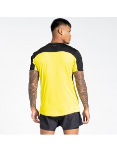 tee shirt sport homme 2