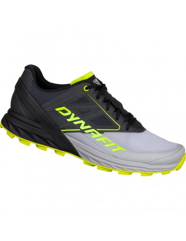 Chaussure de Trail Dynafit Alpine Alloy Black Out Accueil
