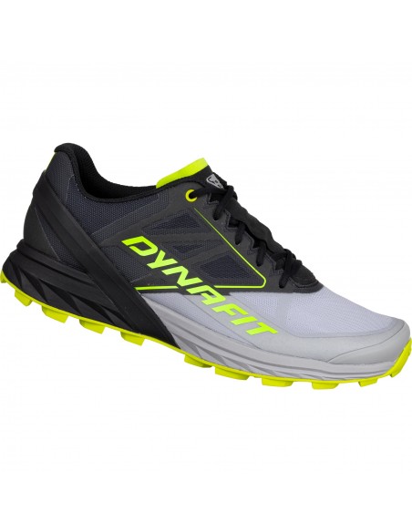 Chaussure de Trail Dynafit Alpine Alloy Black Out Accueil