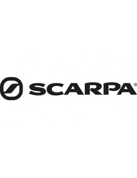 Scarpa